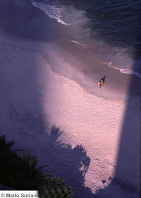 &copy; Mario Suriani